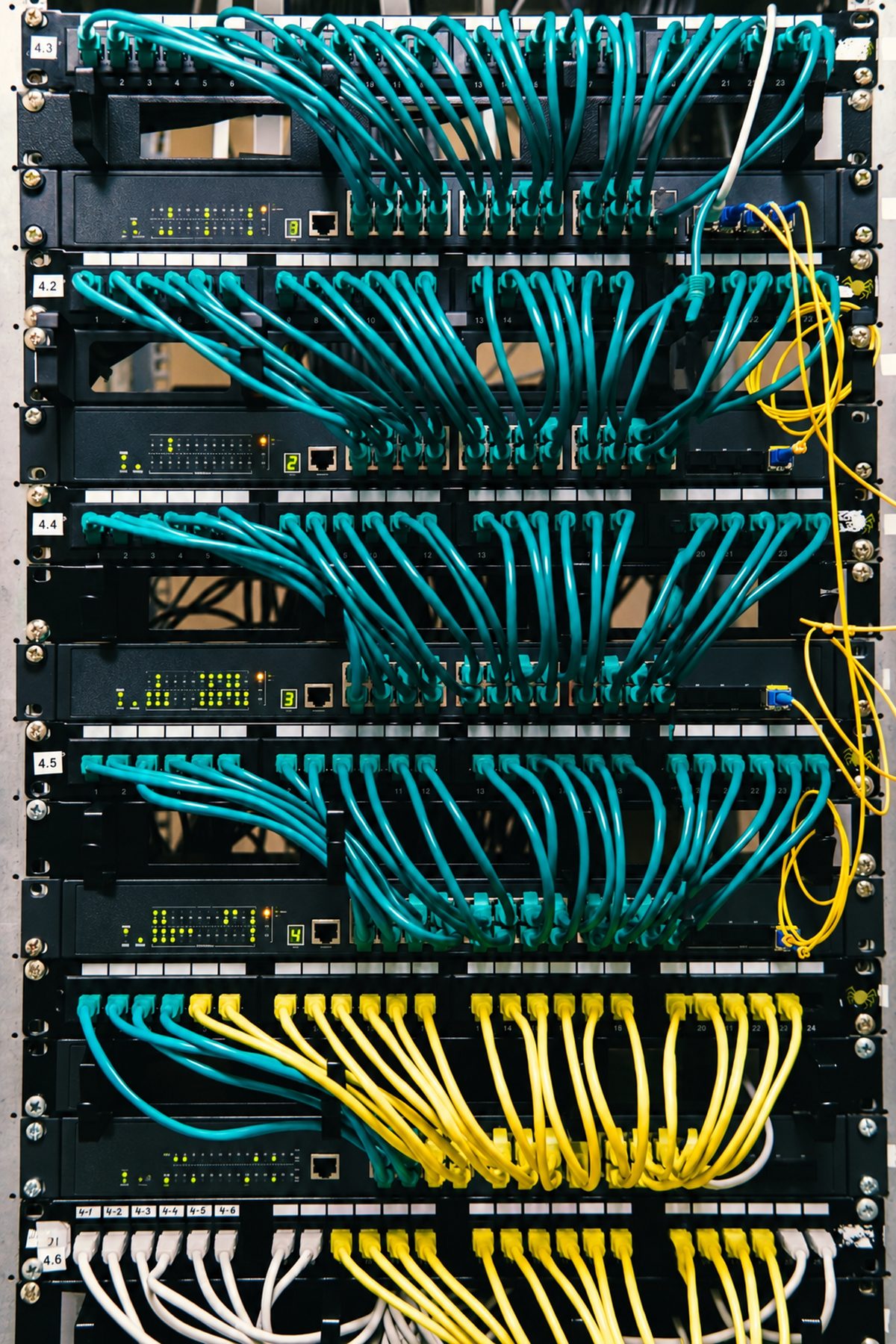 Organized network server cabinet
